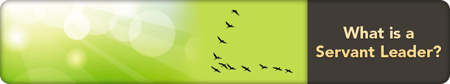 A flock of birds flying together in a V formation